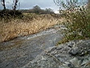 2007-04-22 037.JPG